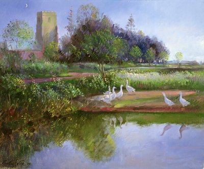 Oche al tramonto, 1991 da Timothy Easton